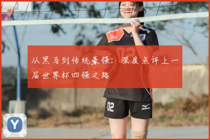 从黑马到传统豪强：深度点评上一届世界杯四强之路