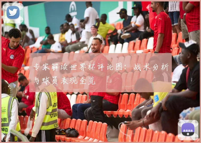 专家解读世界杯评论图：战术分析与球员表现全览